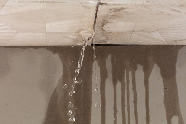 Professional Sewage Cleanup technician working in Jeffersonville, IN